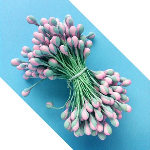 W OF S A SCOTT CLARK WOOLLEY Pink Bud Tip Flower Stamens