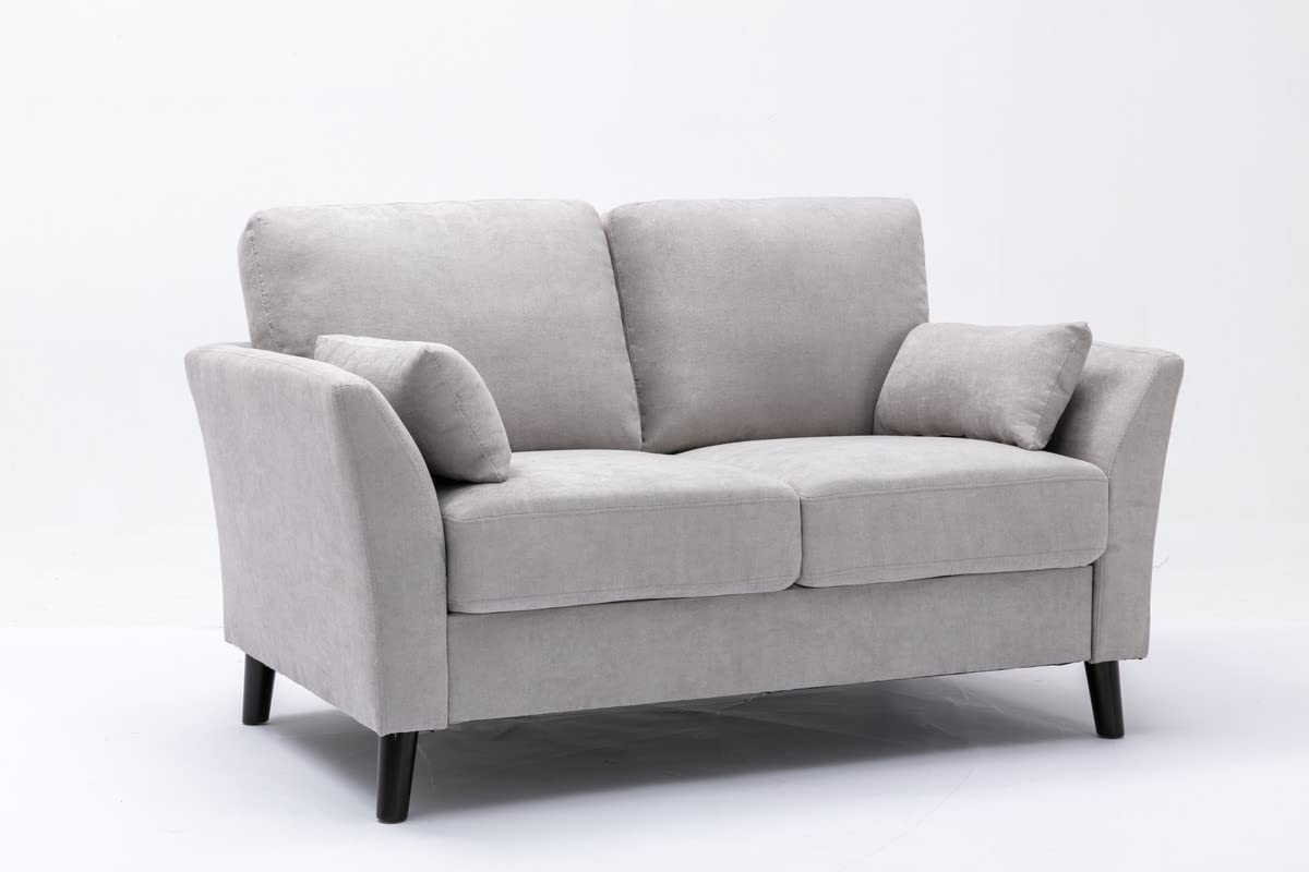 Lilola Home Damian Light Gray Velvet Fabric Loveseat
