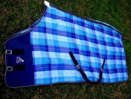 Challenger 62' Horse Cotton Sheet Blanket Rug Summer Spring Blue 5304