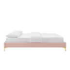 Modway Mod-6275-Pnk Sutton Queen Performance Velvet Bed Frame, Pink