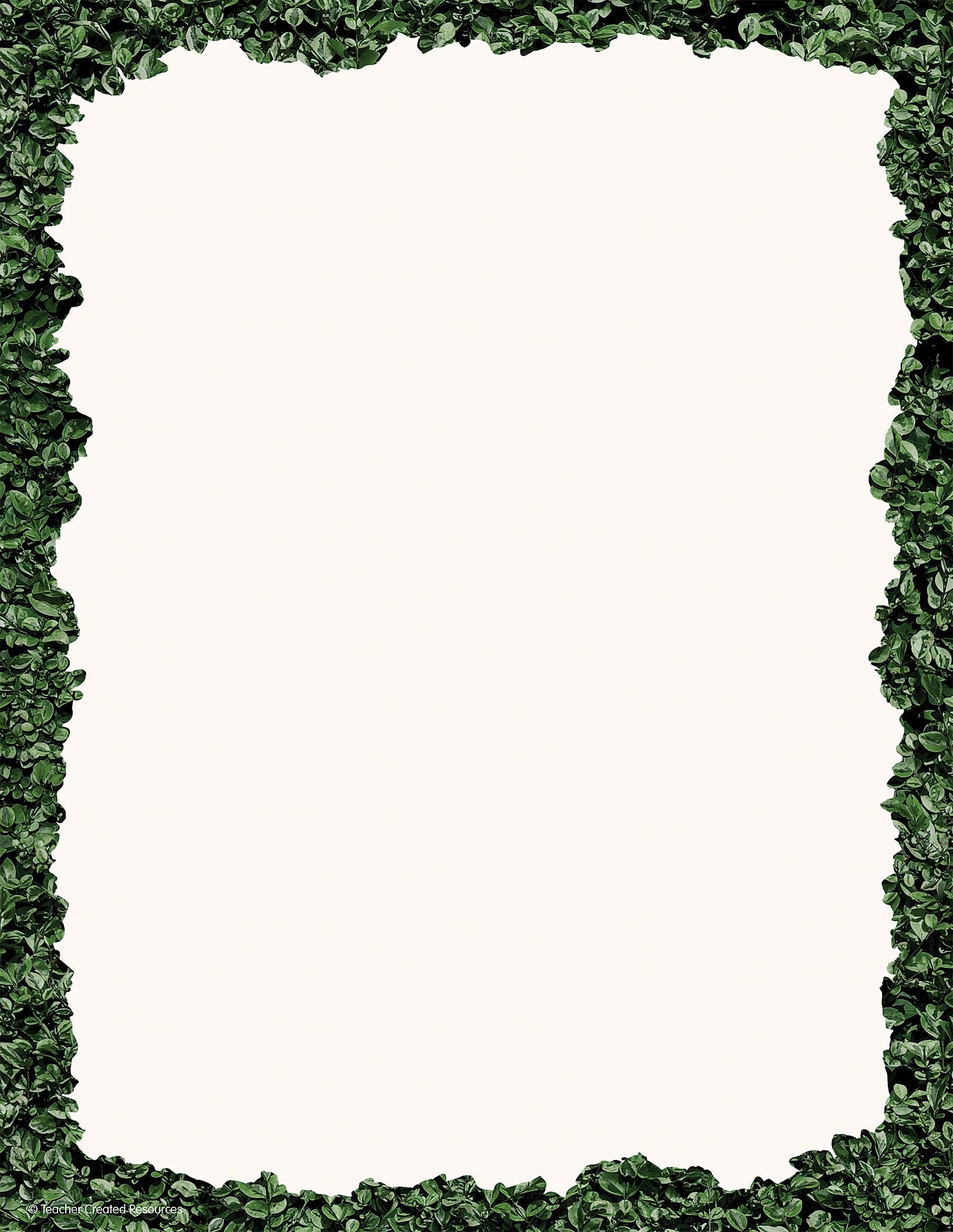 Teacher Created Resources Modern Farmhouse Boxwood Computer Paper, 50 Sheets