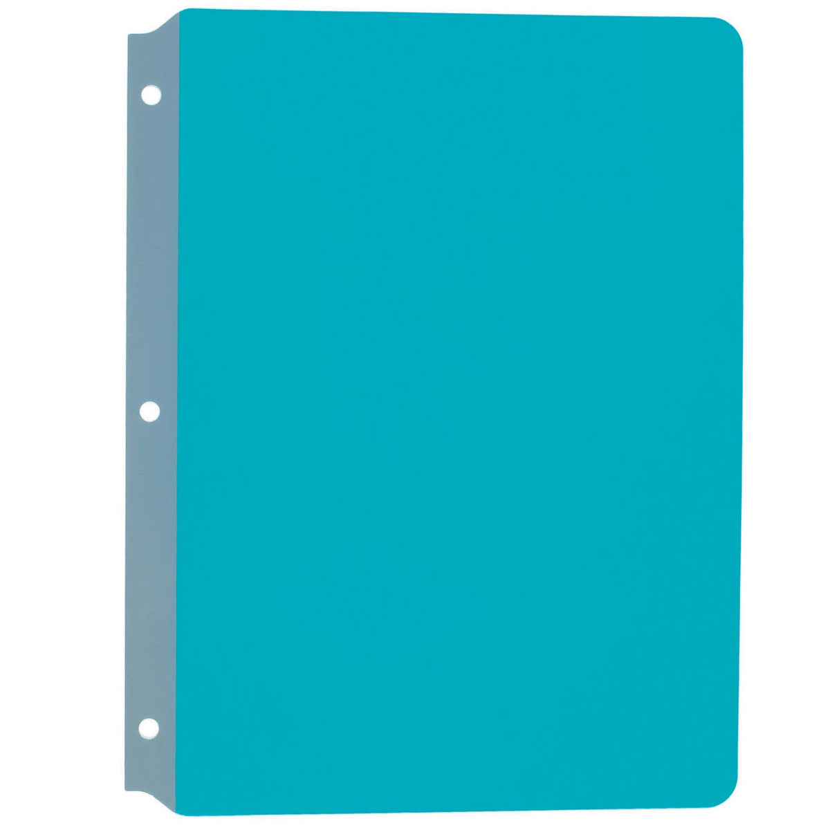 Ashley Productions Ash10831 Full Page Reading Guide, 8.5' Wide, 13' Length, 0.1' Height, Blue