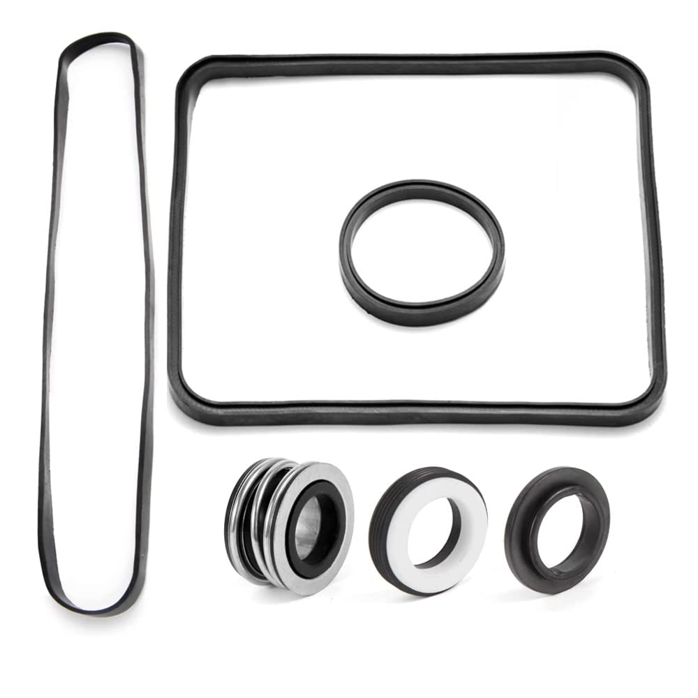 Felhood Sp2600 Replacement Hayward Super Pump Seal Kit O-Ring Repair Kit Sp1600,2600,Sp1600Z2, Sp2607X10, Sp1600Z2, Ps-201 Fits