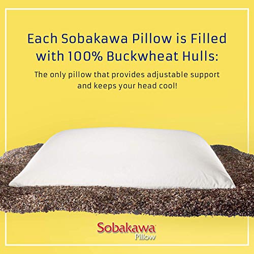 Sobakawa Queen Buckwheat Pillow - Organic Cotton, Cool Sleep Technology, Neck Support for Back/Side Sleepers, White Meditation Cushion