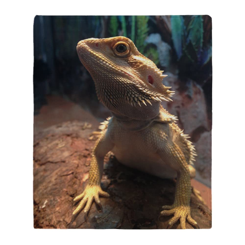 Cafepress Bearded Dragon Throw Blanket Super Soft Fleece Plush Throw Blanket, 60'X50'