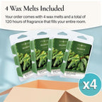 Candle Warmers Etc Classic Wax Melts 2.5Oz, Balsam Fir Fragrance (4-Pack) - Each Pack Has X4 2.5 Oz Wax Melts And 30 Hours Of Fr