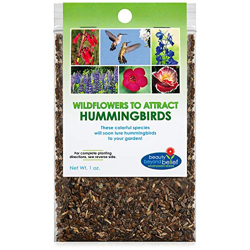 Hummingbird Nectar Wildflower Seeds Bulk Open-Pollinated Wildflower Seed Mix Packet, Non-Gmo, No Fillers, Annual, Perennial Wild