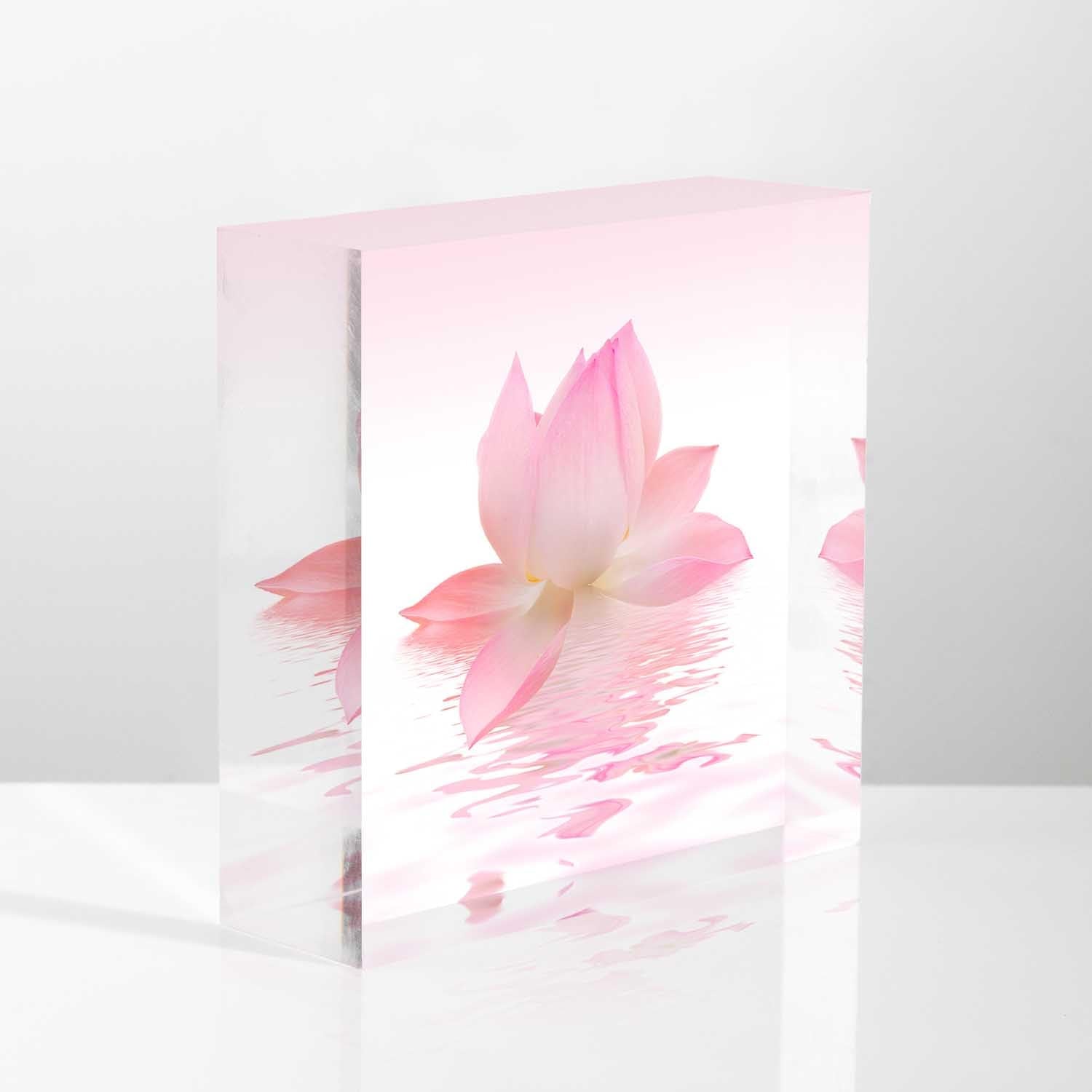 Nohshe Desk Ornaments For Office Beautiful Lotus Acrylic Counselor Presents For Women - Valentines Day Presents For Office Staff
