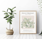 Hesendot Unframed Sage Matisse Wall Art Set Of 3,Abstract Matisse Wall Decor,Quality Canvas Prints For 12X16In,Art Posters Decor