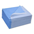 Avalon Papers Single-Use Medical Equipment Drape, Blue, 40 x 72 (Pack of 50) - Stretcher Sheet or Treatment Table Cover - Fluid 