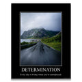 Determination Demotivational Poster Ironic Snarky Funny Sarcastic Office Wall Decor Art Print 11x14 Inches Unframed