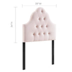 Modway Sovereign Twin Diamond Tufted Performance Velvet Headboard, Pink