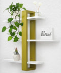 LIVINGLOOM Wooden Floating Shelves Wall Shelf/Wall Rack/Book Shelf/Storage, Ideal for Plants and Photos 3Tier Mounted Shelving 