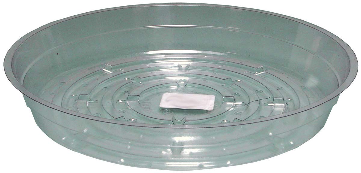 Hydrofarm Hgs8 Clear 8-Inch, Pack Of 25 Saucer, 8 Inches