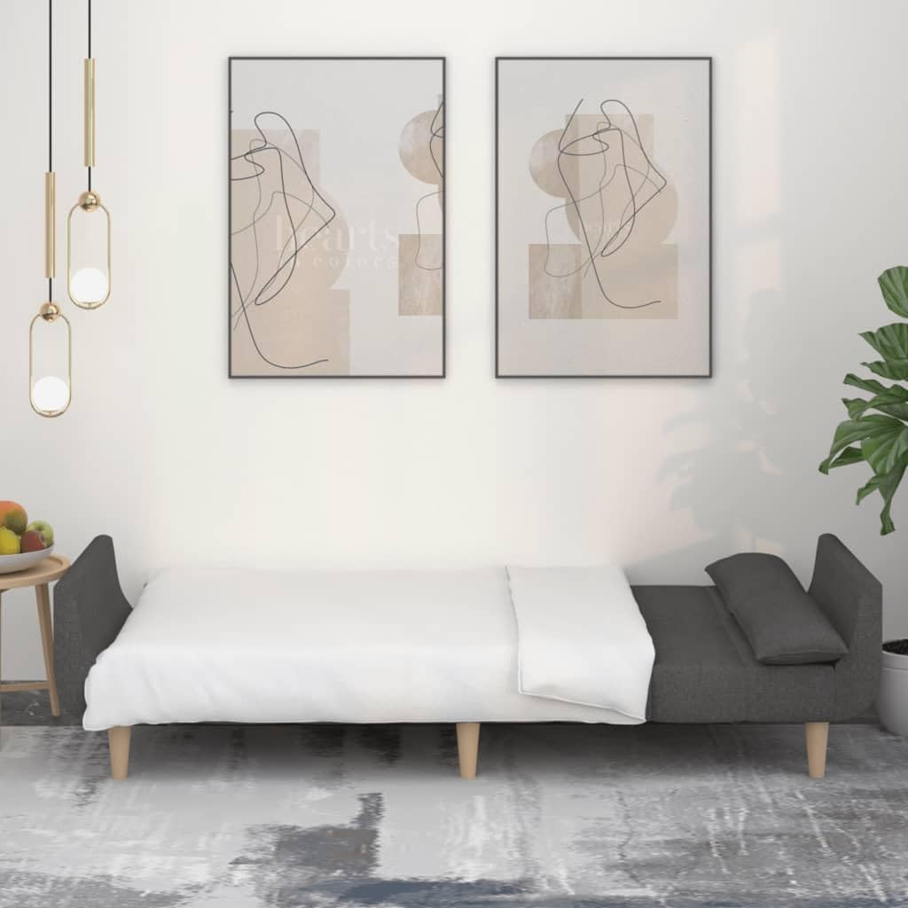 vidaXL 2-Seater Sofa Bed w/Pillows - Dark Gray Fabric Convertible Couch for Home Office/Living Room