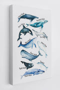 Sea Life Whale Educational Ocean Animal Chart Wall Art Canvas Farmhouse Whale Theme 11x14 Inch Prints Decor For Home Bedroom Liv