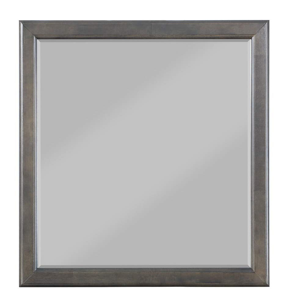 Acme Louis Philippe Mirror, Dark Gray/Dark Gray/Traditional