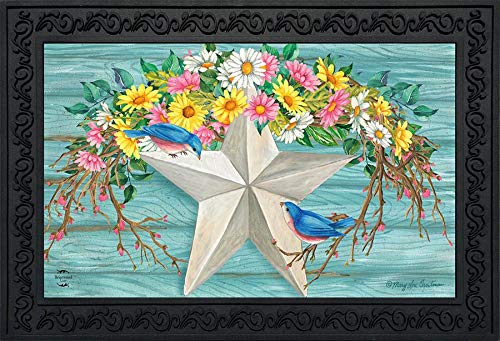 Briarwood Lane Spring Barnstar Doormat Welcome Indoor Outdoor 30' X 18'