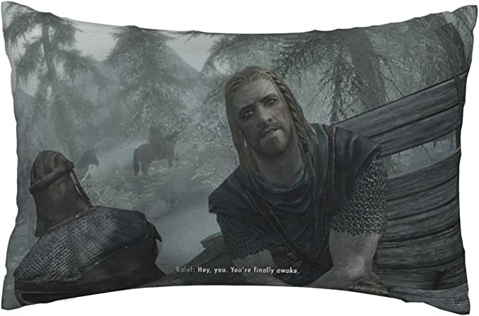 Rykeen You'Re Finally Awake Throw Pillow Covers