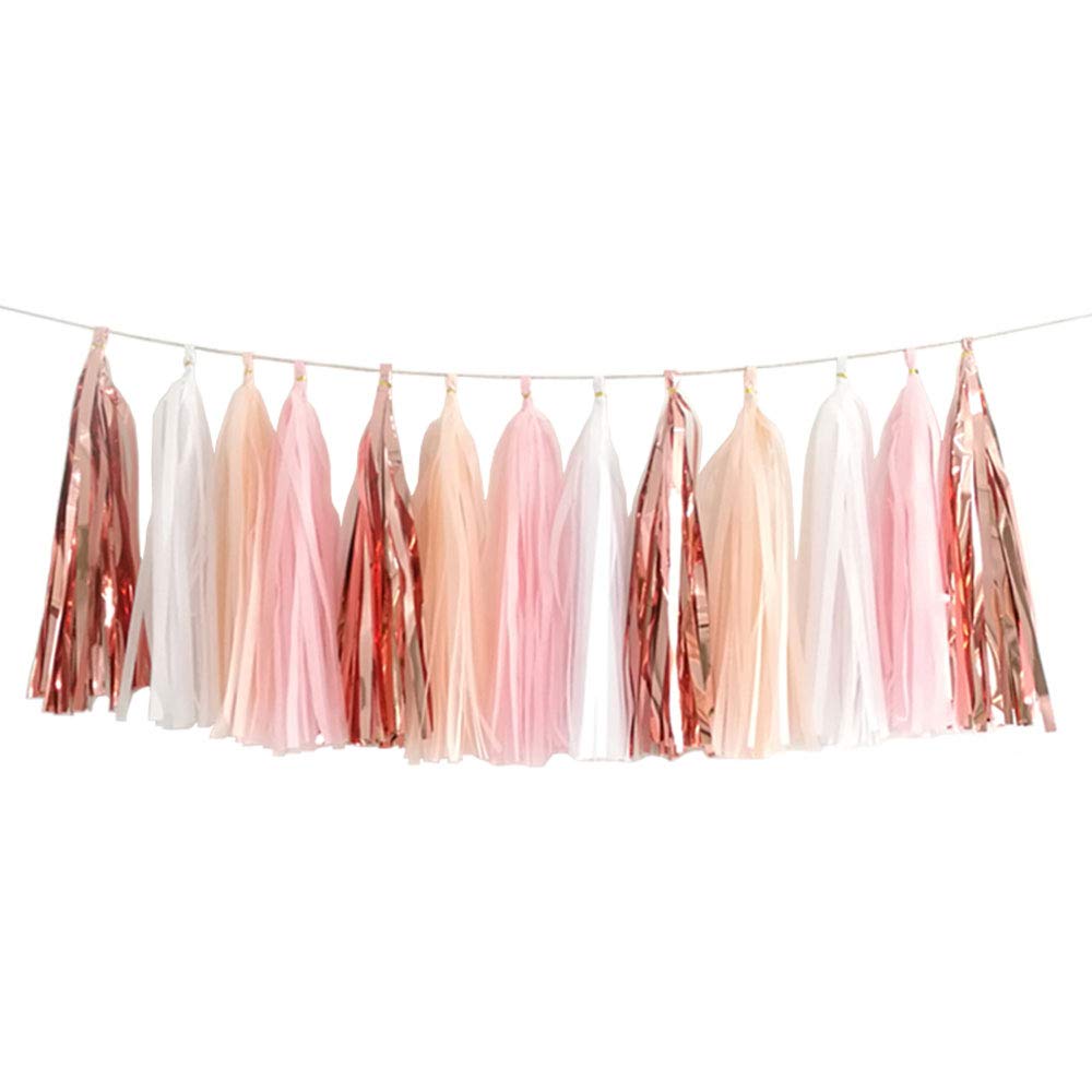 We Moment 20pcs Shiny Tassel Garland Banner Tissue Paper Tassels for Wedding, Baby Shower, Table Decor,Event & Party Supplies, D