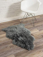 HomeRoots 2' X 3' Warm Gray New Zealand Natural Sheepskin Rug