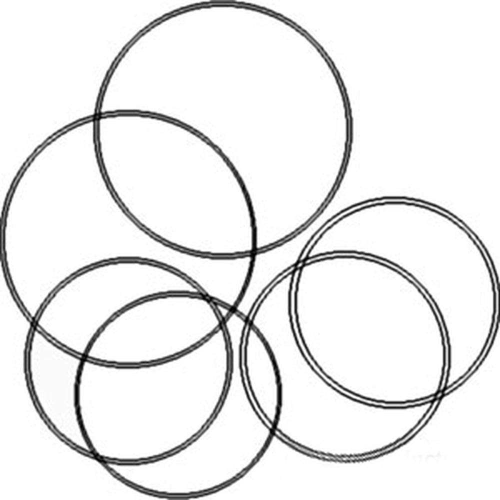 Raparts 539535R91 New Brake O-Ring Kit Fits Case-Ih Tractor Models 385 395 454 464 +