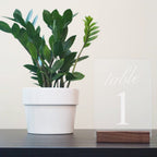 4X6 Inch Blank Frosted Acrylic Sign Acrylic Sheet 1/8 Inch Thick | Diy Frosted 4''X6'' Acrylic Pieces, Perfect As Table Numbers,