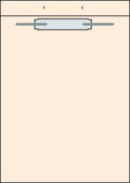 Tabbies Fileback Divider, Letter Size, 2    Capacity Fastener, 8-1/2'W X 11'H, Sturdy 11 Pt. Manila Stock, 26360 (100 Pack)