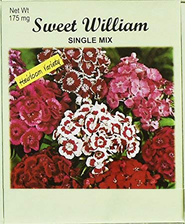 Set Of 50 Flower Seed Packets! Flower Seeds In Bulk (50, Sweet William)