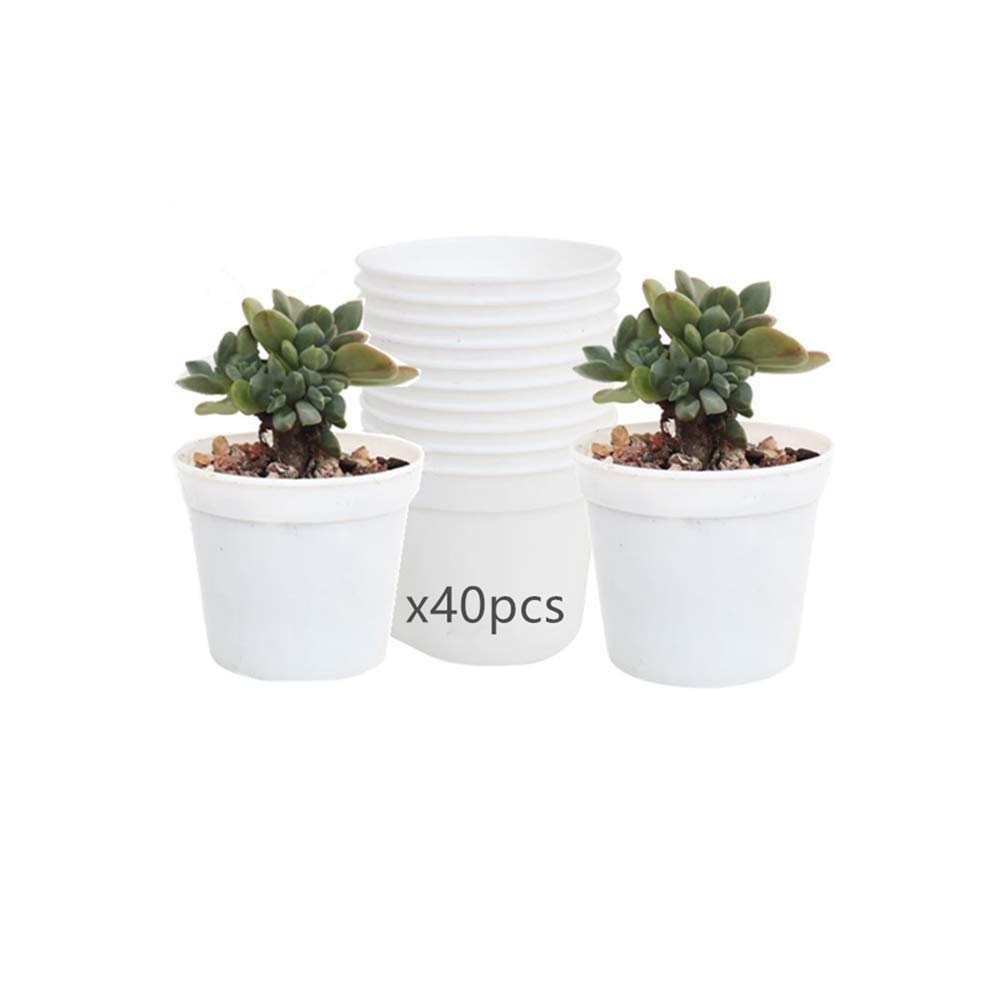 Dodxiaobeul Round Succulents Plant Pots Drainage Hole, Set Of 40 Mini Plant Pots 2.5' Wx2.25 H,Perfect For Plant Seeds,Seedling