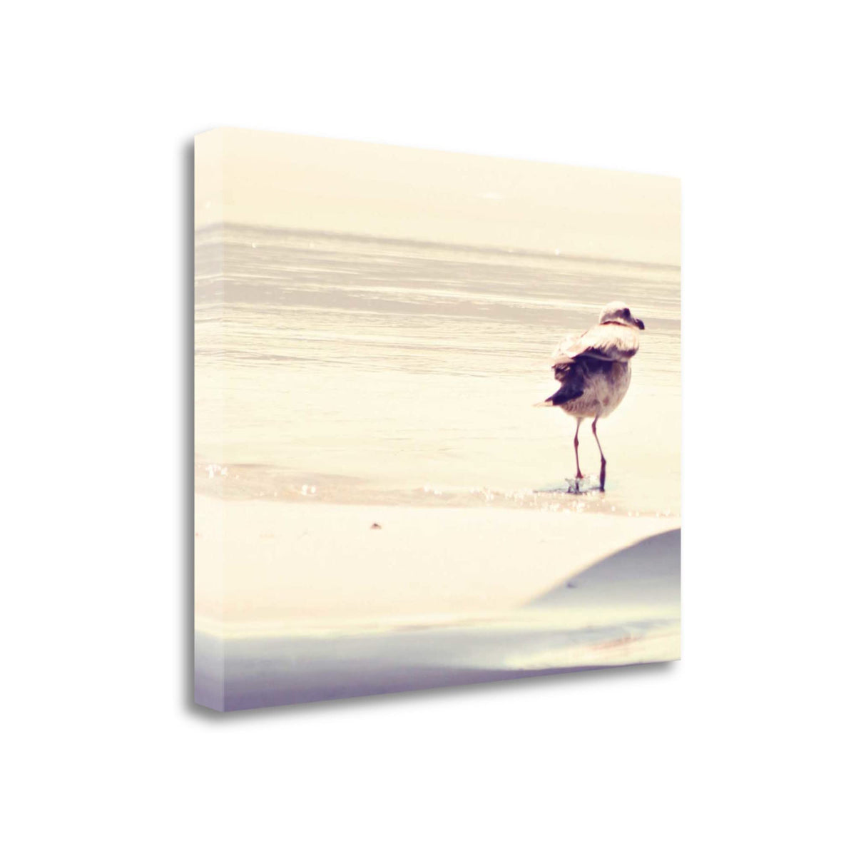 24' Coastal Seagull on the Beach Print on Gallery Wrap Canvas Wall Art