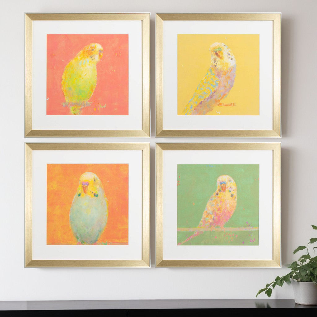 Set Of Four Colorful Bird B S/4 Gold Framed Print Wall Art
