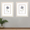 Set Of Two Botanical Beauty White Framed Print Wall Art