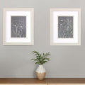 Set Of Two Gray Poppies Sketch White Framed Print Wall Art