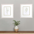 Set Of Two Olive Leaves White Framed Print Wall Art