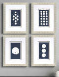 Set Of Four Sand Dollars Gold Framed Print Wall Art