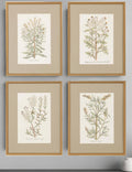 Set Of Four Botanical Plants Gold Framed Print Wall Art