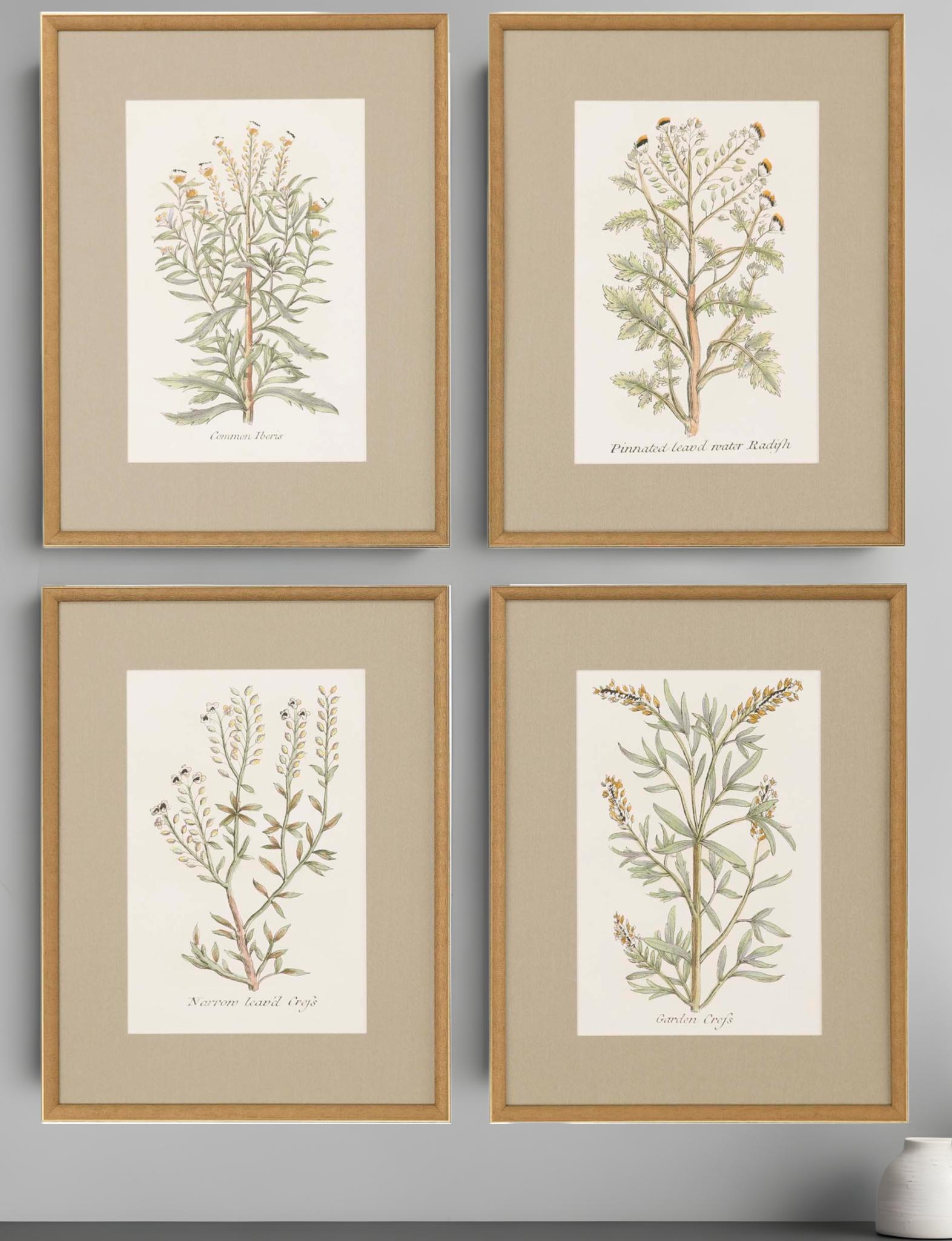 Set Of Four Botanical Plants Gold Framed Print Wall Art