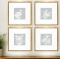 Set Of Four Echinacea Gold Framed Print Wall Art