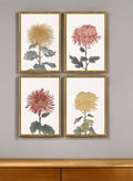 Set Of Four Chrysanthemum Gold Framed Print Wall Art