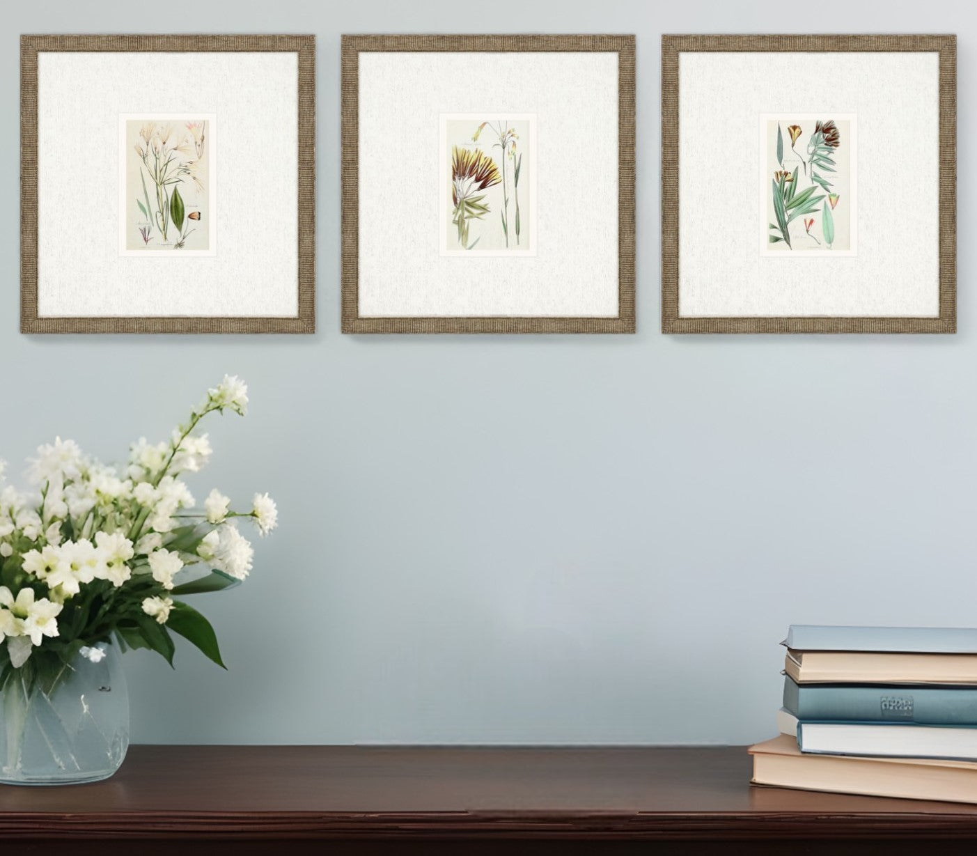 Set Of Three Antique Botanical Gold Framed Print Wall Art