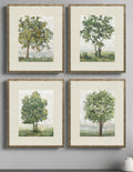 Set Of Four Countryside Growth Gold Framed Print Wall Art