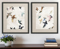 Set Of Two Abstract Birds Black Framed Print Wall Art