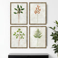 Set Of Four Botanical I Gold Framed Print Wall Art