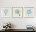 Set Of Three Sea Fan I Silver Framed Print Wall Art