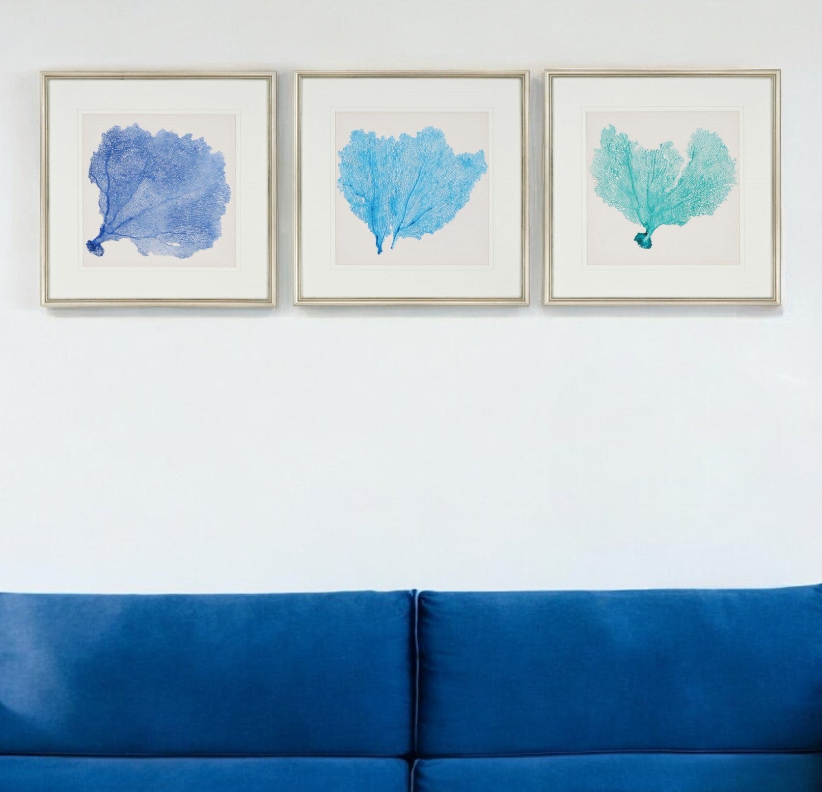 Set Of Three Sea Fan II Silver Framed Print Wall Art