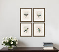 Set Of Four On Perch I Gold Framed Print Wall Art