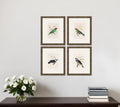 Set Of Four On Perch II Gold Framed Print Wall Art
