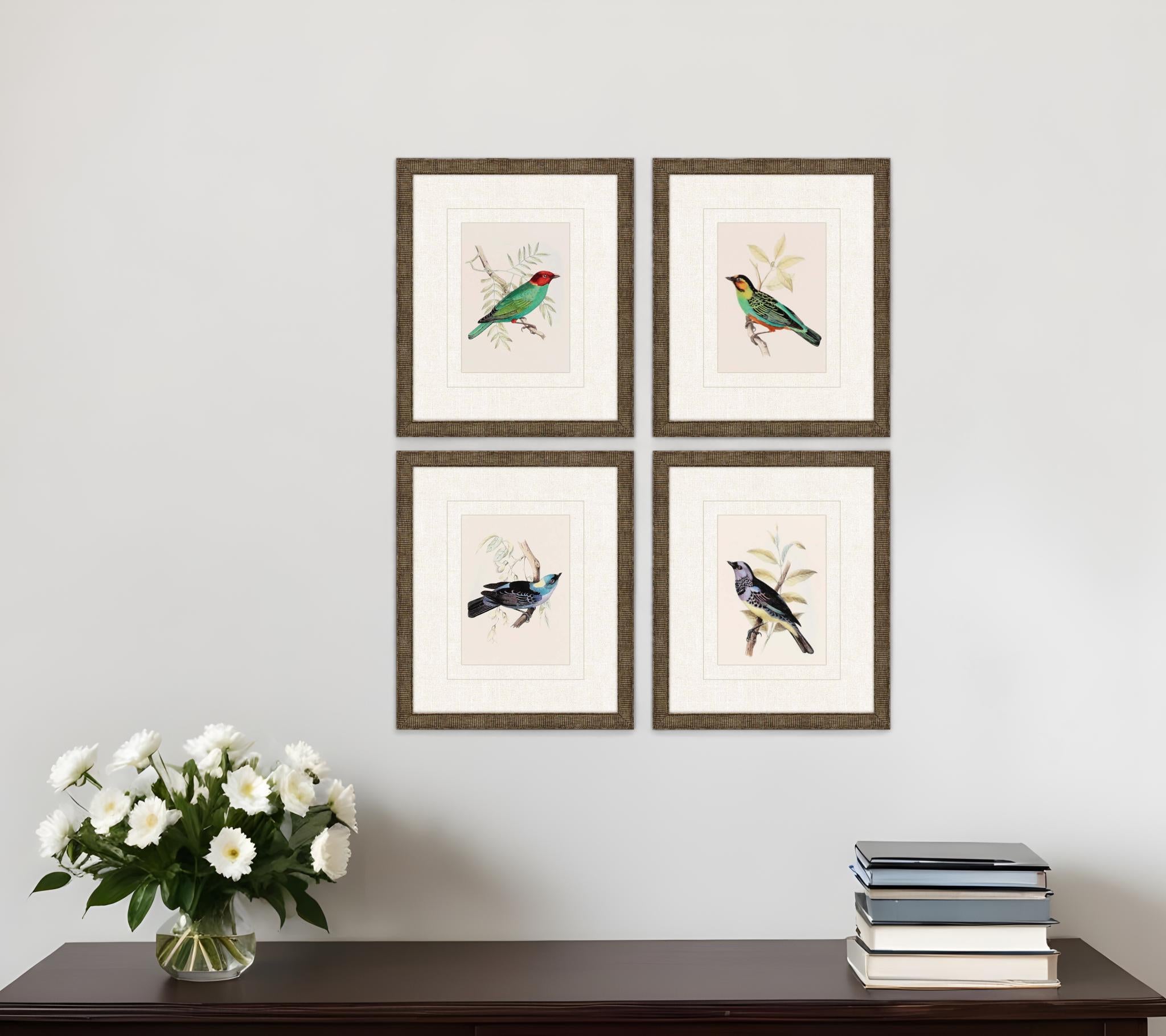 Set Of Four On Perch II Gold Framed Print Wall Art
