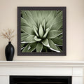 Green Succulent III Brown Framed Print Wall Art